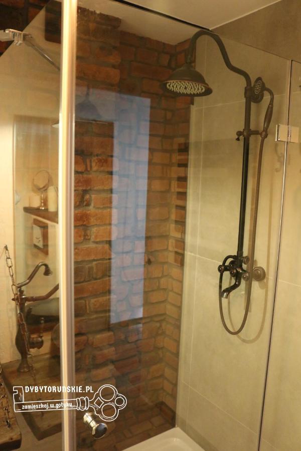 Gotyk Na Dotyk Z Tarasem Na Dachu Apartment Stary Toruń Екстериор снимка